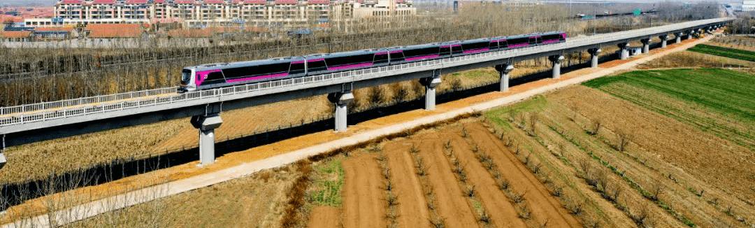 metro line 8 from or to Qingdao Jiaodong International Airport(TAO)