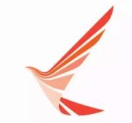 Ruili Airlines Logo