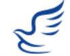 China Express Logo